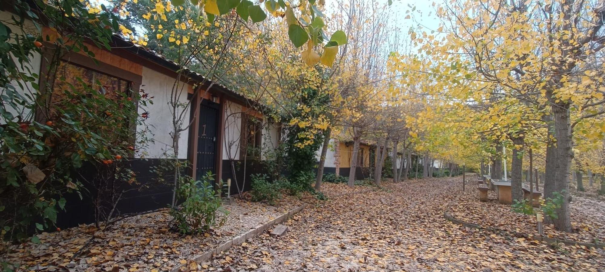 Casas Rurales Vado Del Rio Tus Cortijo Prados Luaran gambar