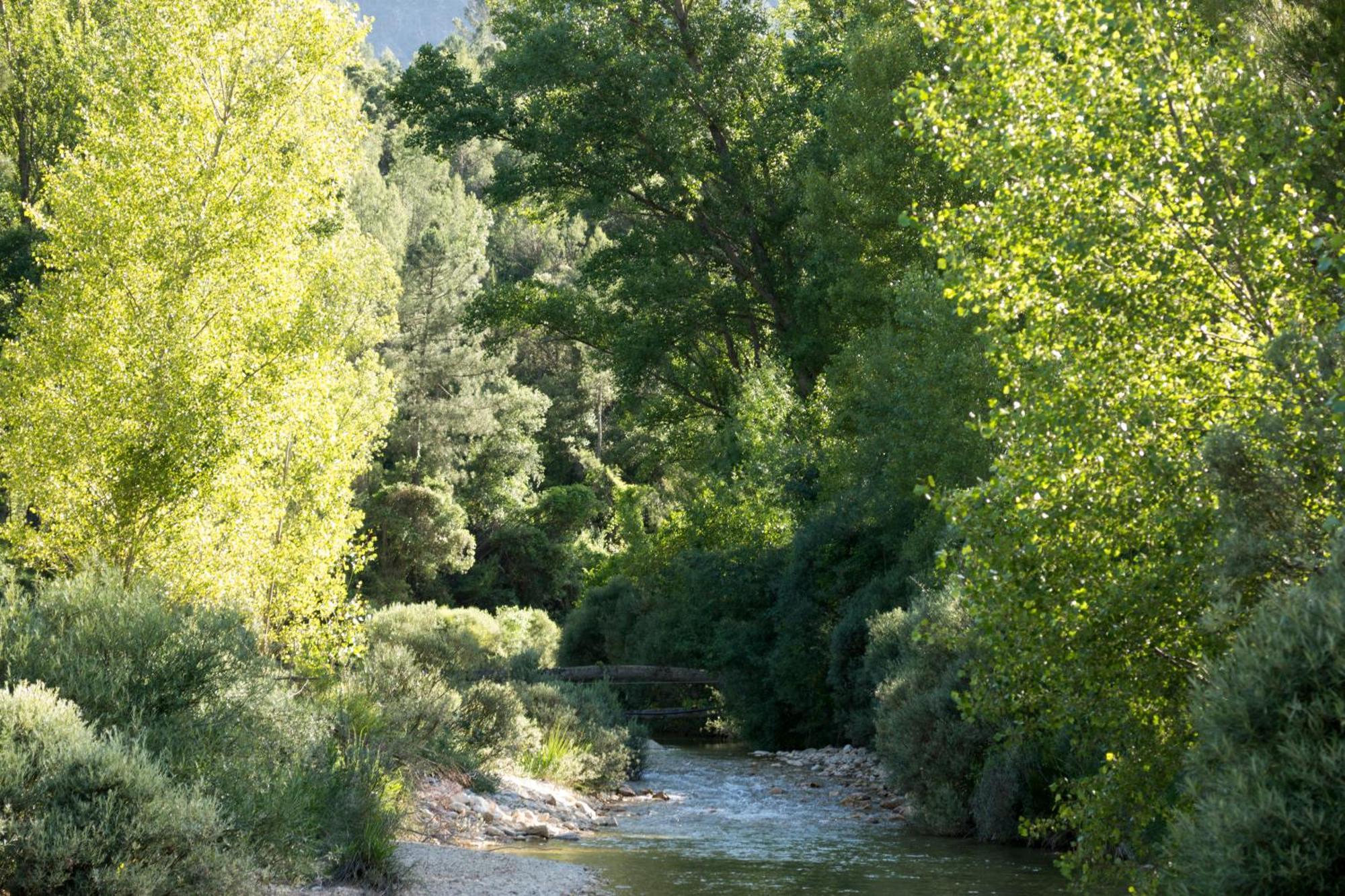 Casas Rurales Vado Del Rio Tus Cortijo Prados Luaran gambar