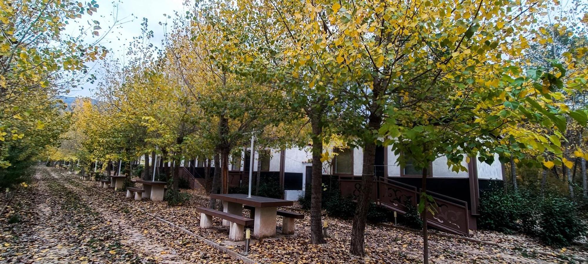 Casas Rurales Vado Del Rio Tus Cortijo Prados Luaran gambar