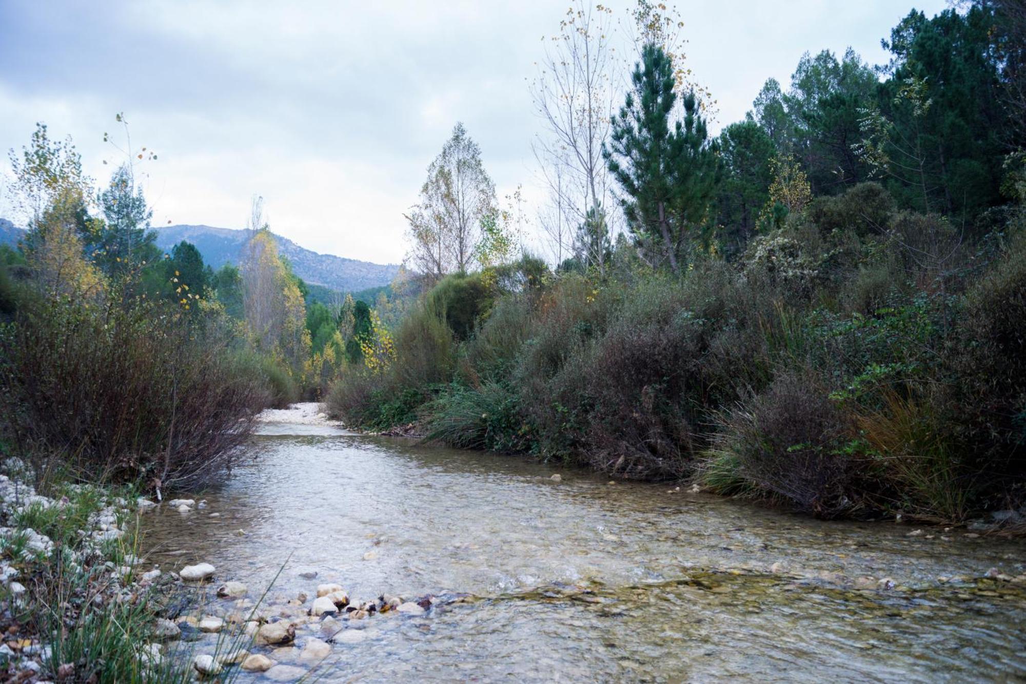 Casas Rurales Vado Del Rio Tus Cortijo Prados Luaran gambar